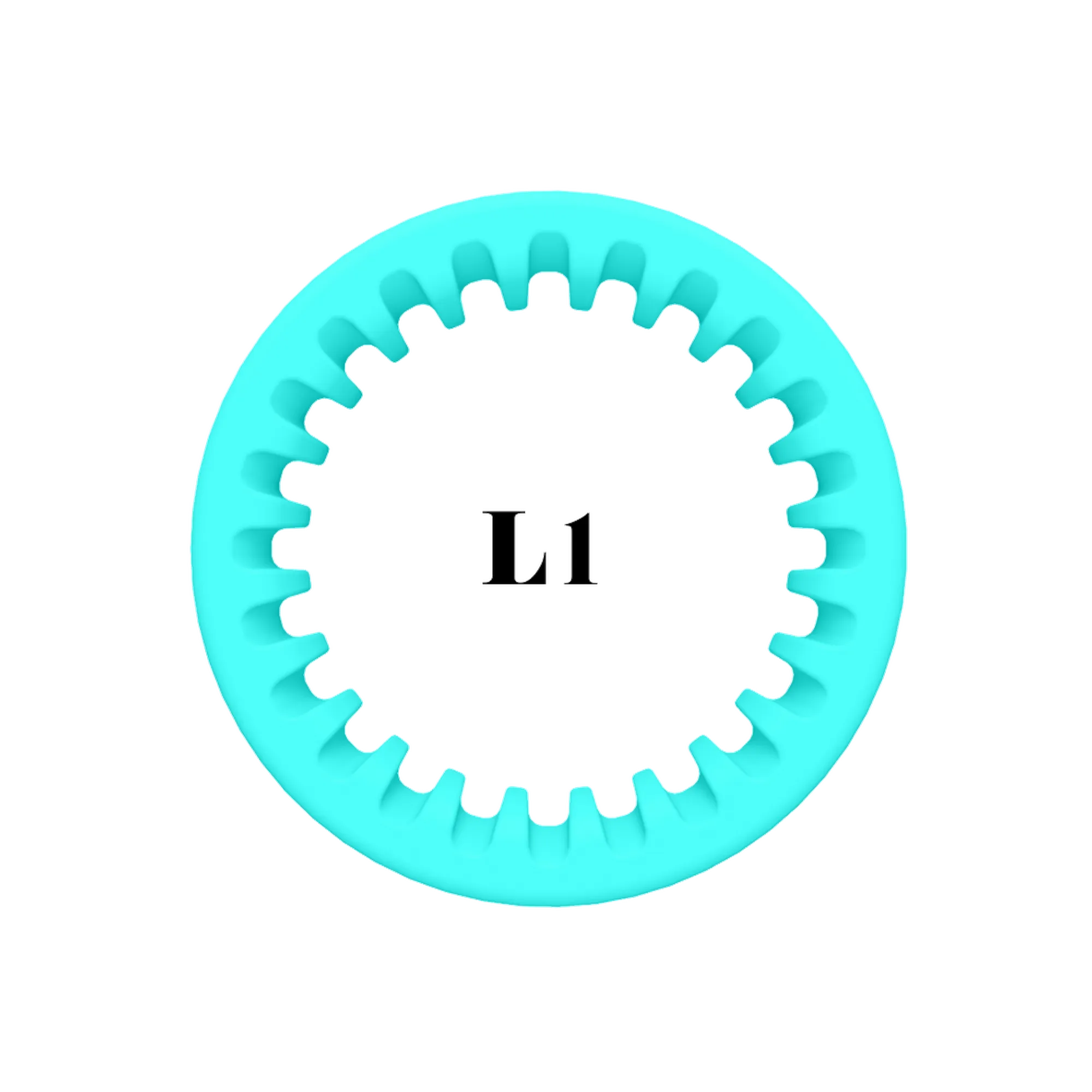 ShearRings | Teal | L1