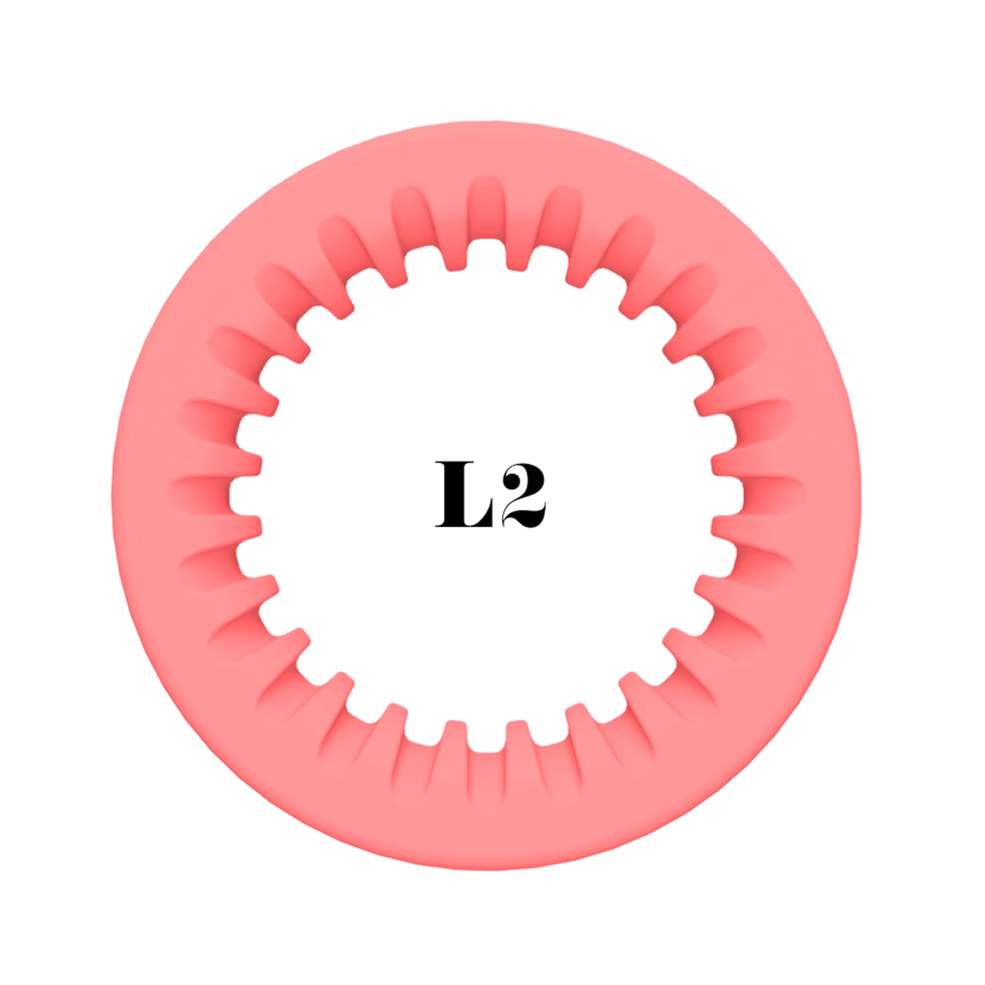 ShearRings | Coral Pink | L2