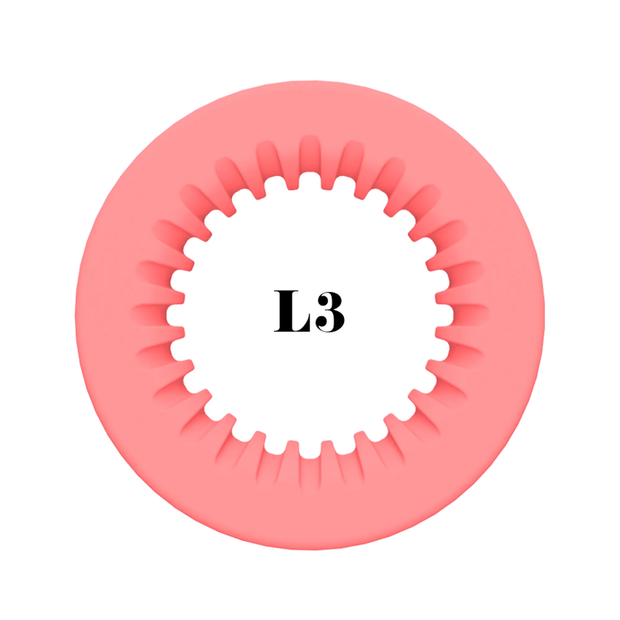 ShearRings | Coral Pink | L3