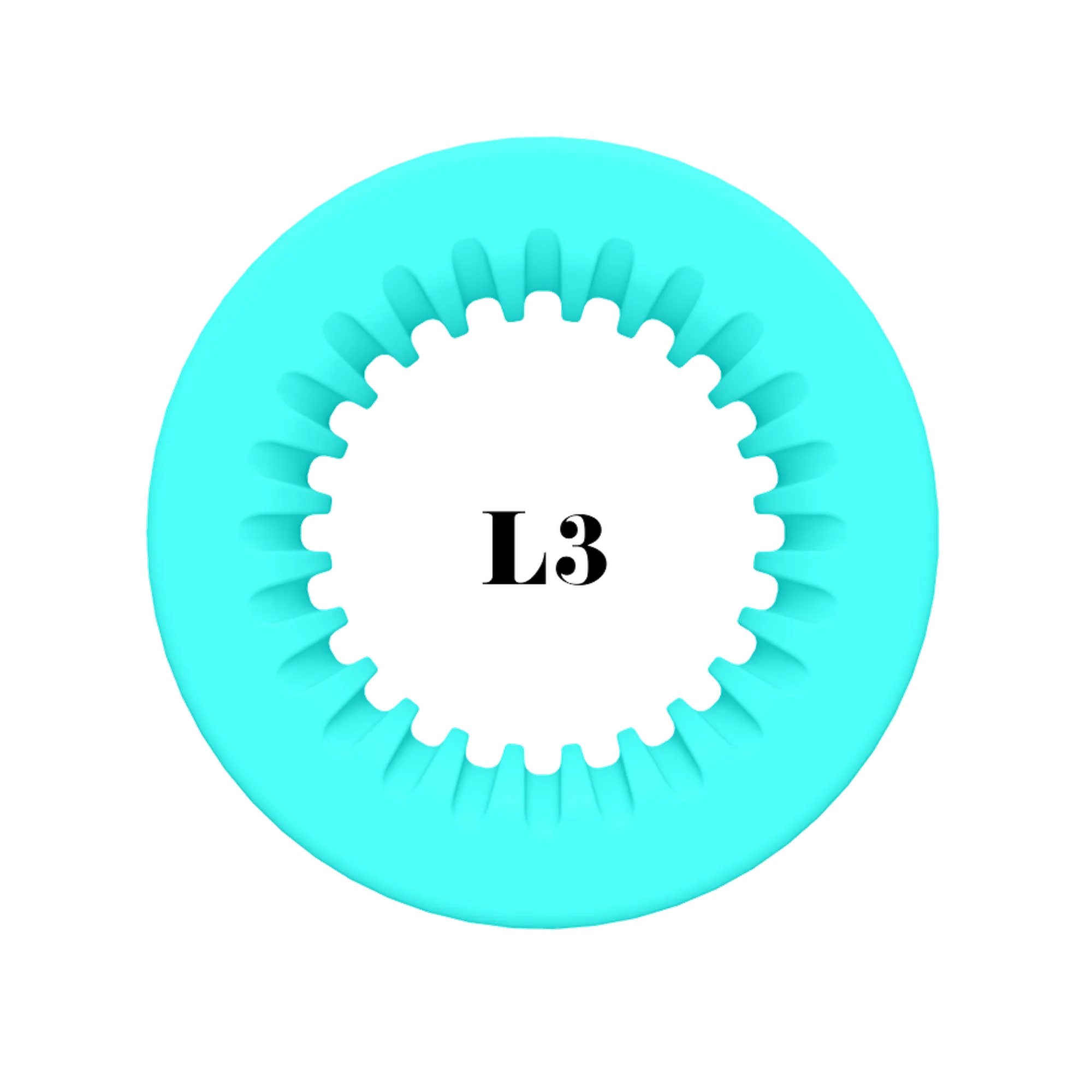 ShearRings | Teal | L3