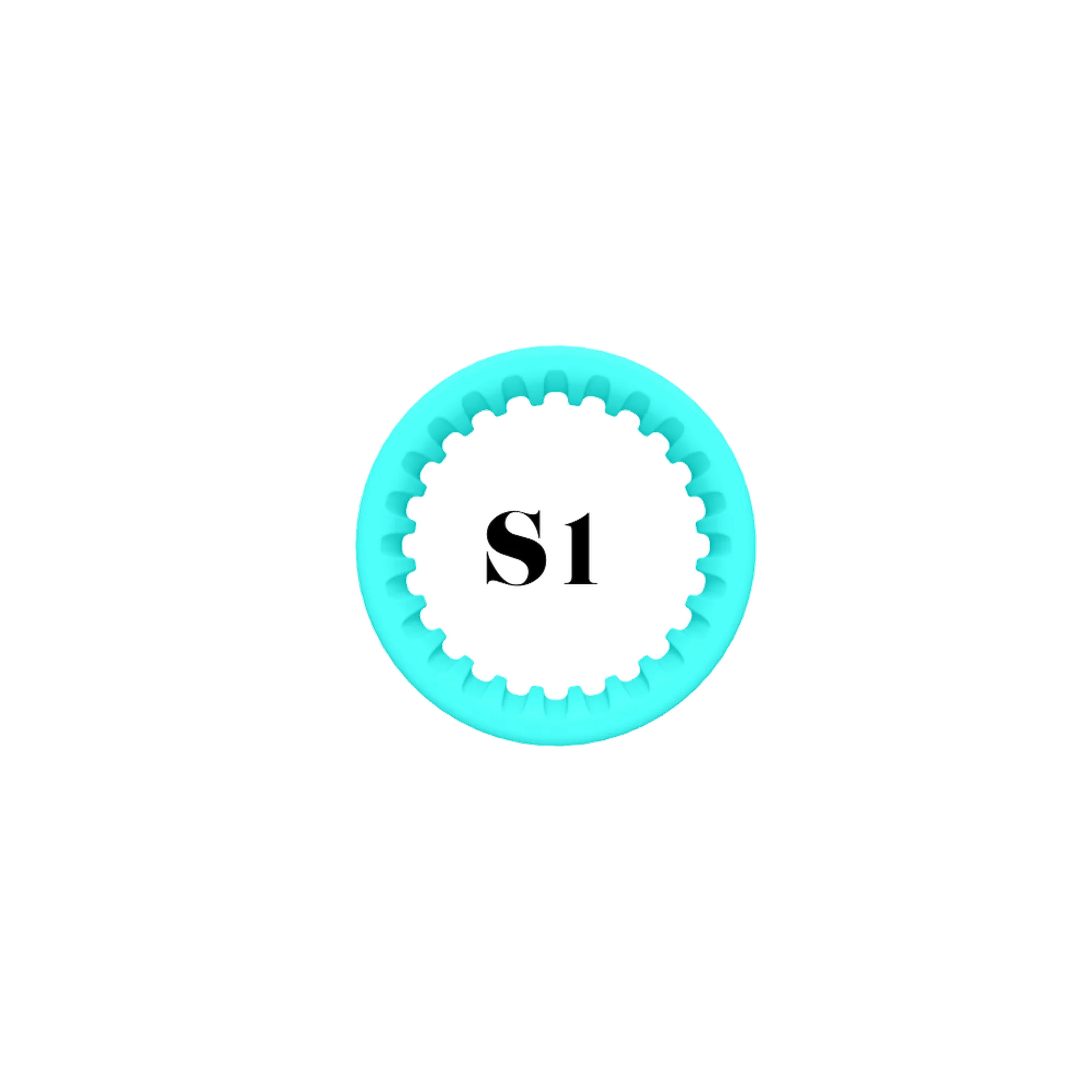 ShearRings | Teal | S1